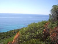 Sardegna 2014 (217)